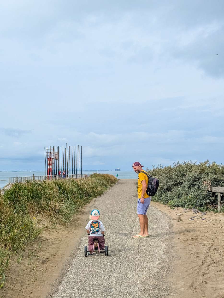 Windorgel bij het Nollestrand in Zeeland 