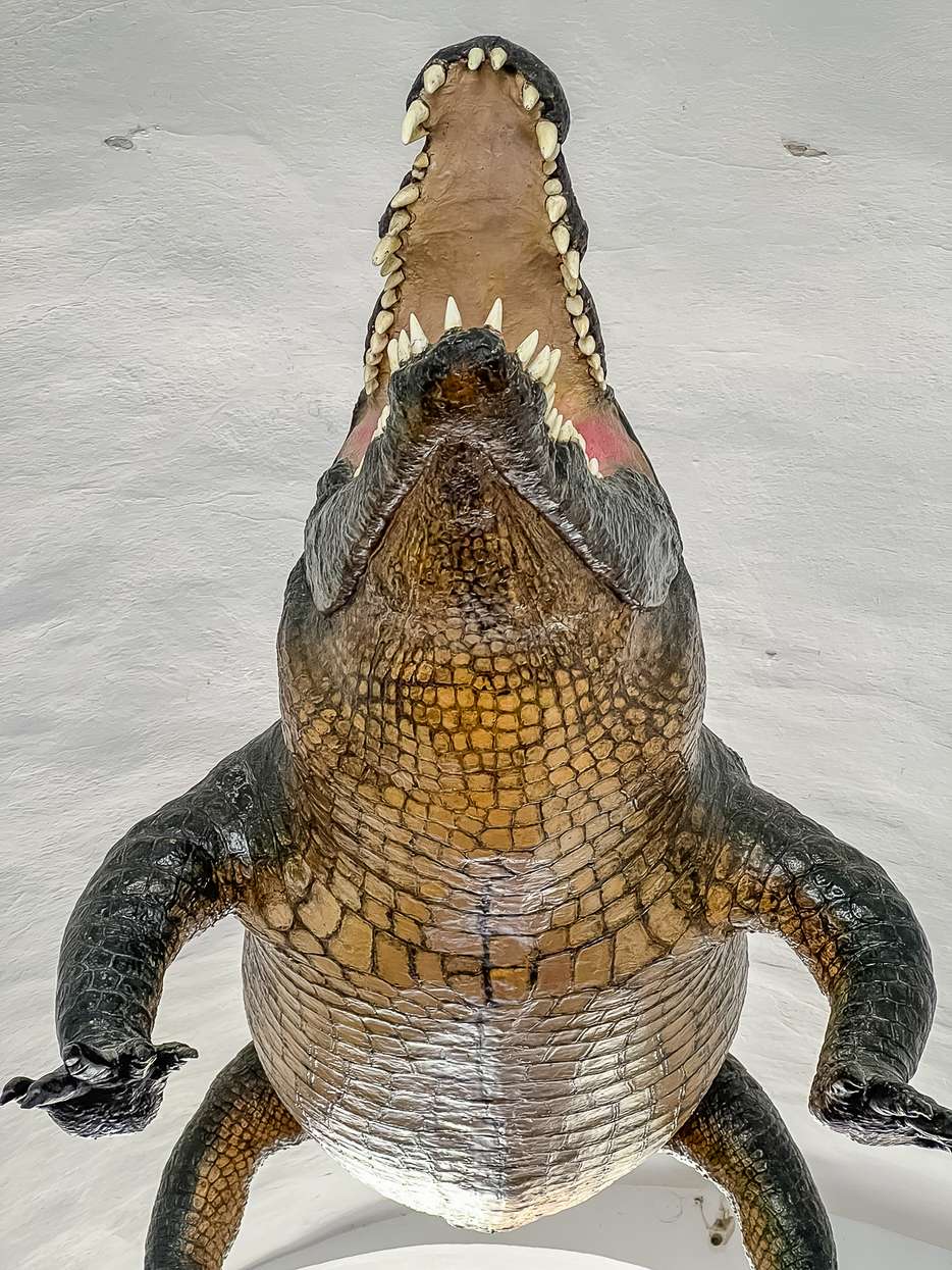 De Draak van Brno in Tsjechie