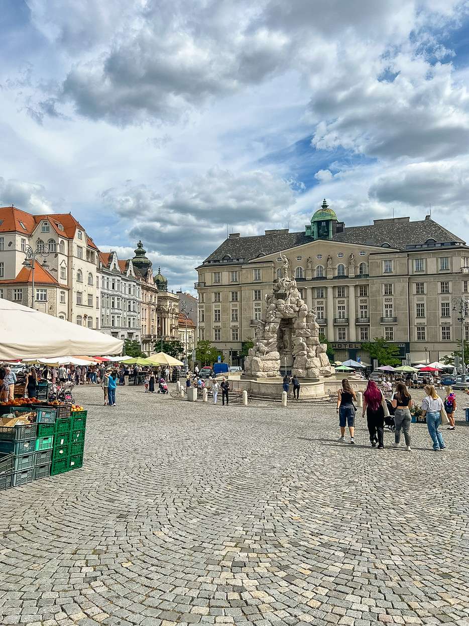 Cabage market in Brno