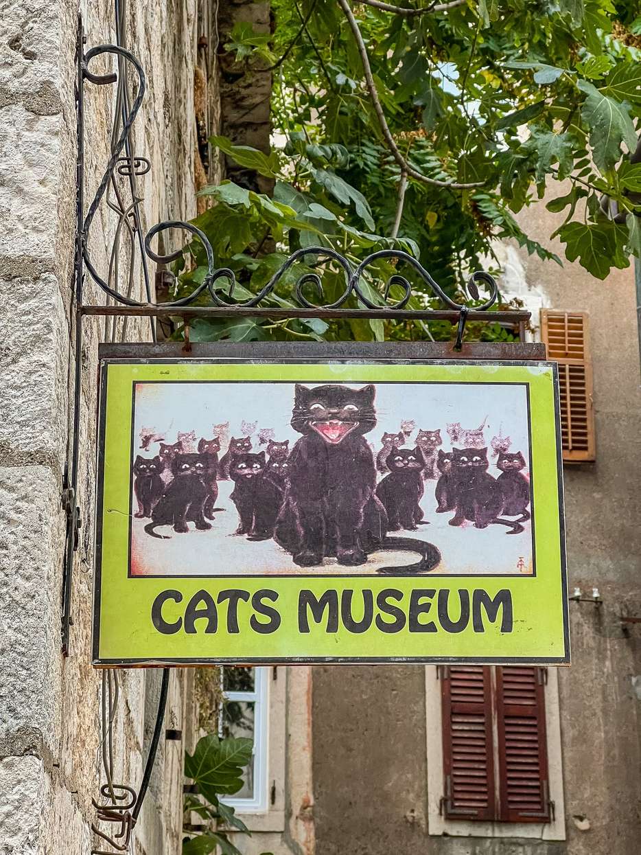 Kattenmuseum