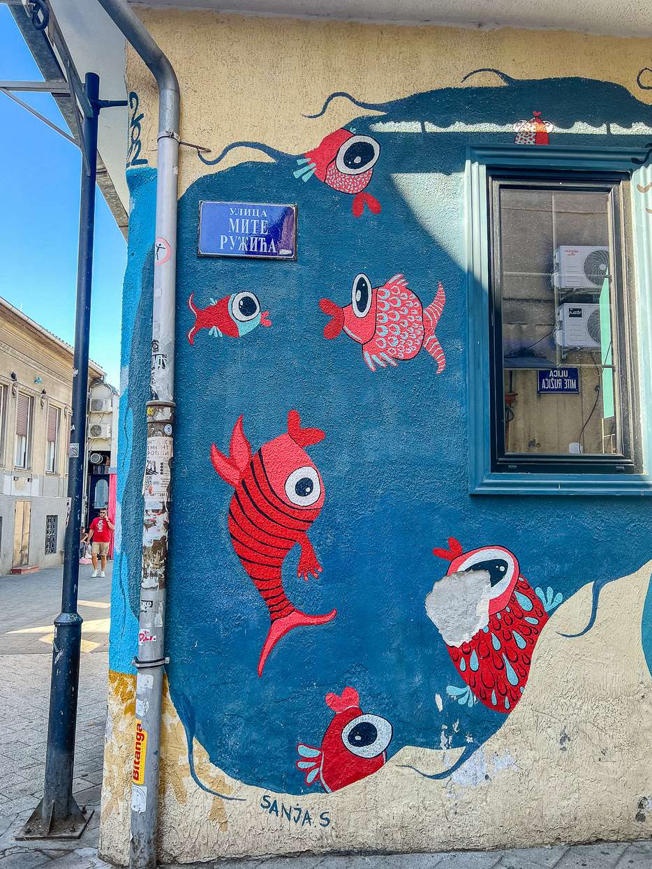 Street art in Novi Sad 