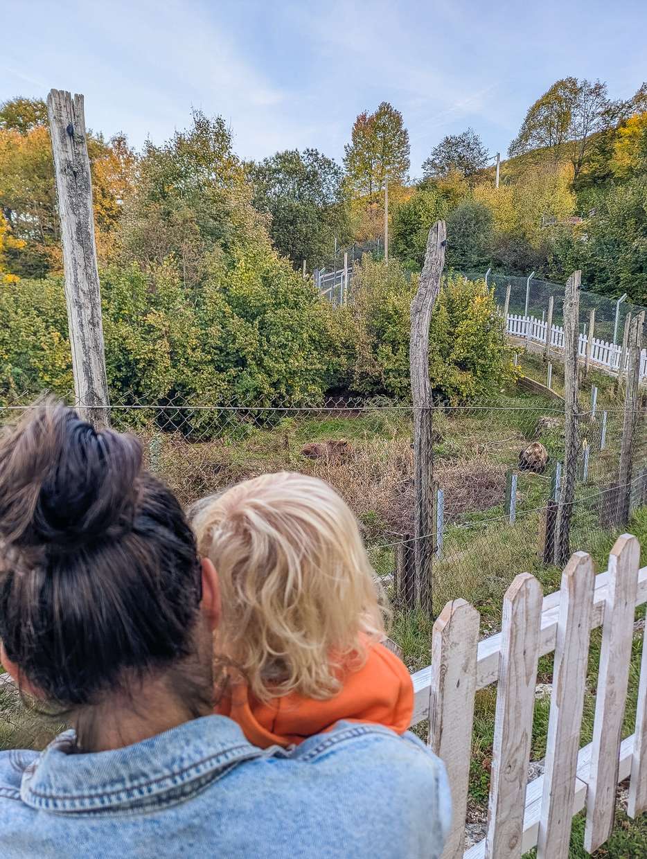 Kuterevo Bear Sanctuary