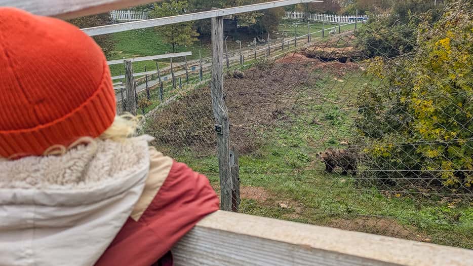 Berenopvang in Kroatië