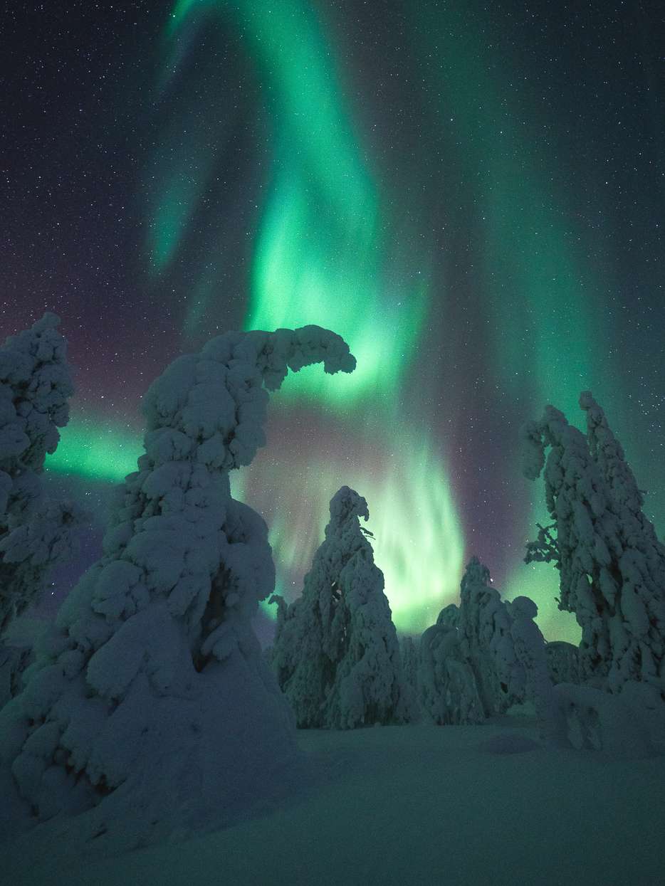 Noorderlicht in Fins Lapland
