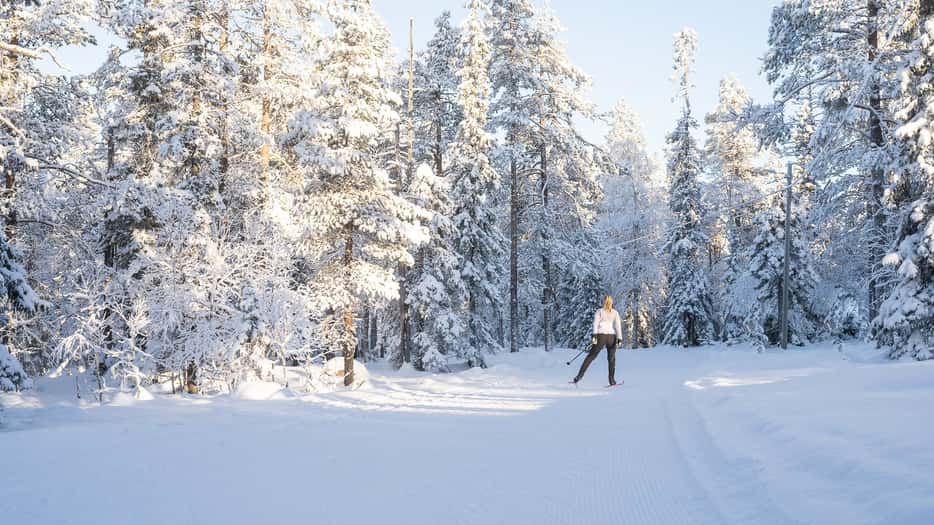 Cross Country skiën