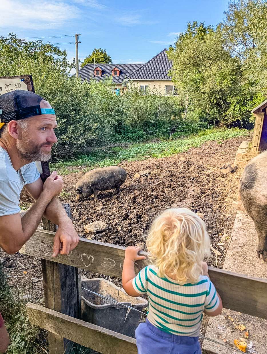 Farm & Camping Lazy in Slowakije 