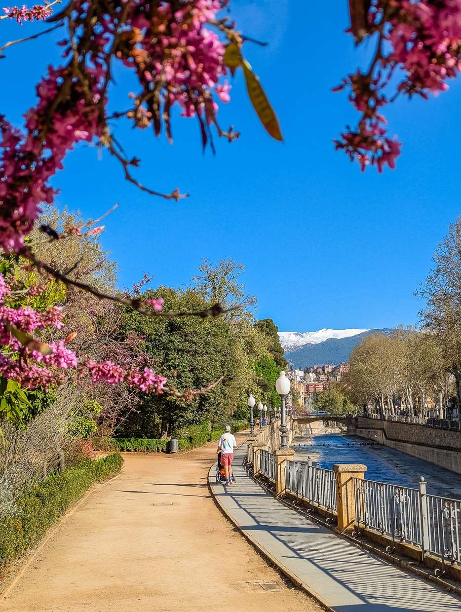Bezienswaardigheden in Granada - Paseo de la Bomba