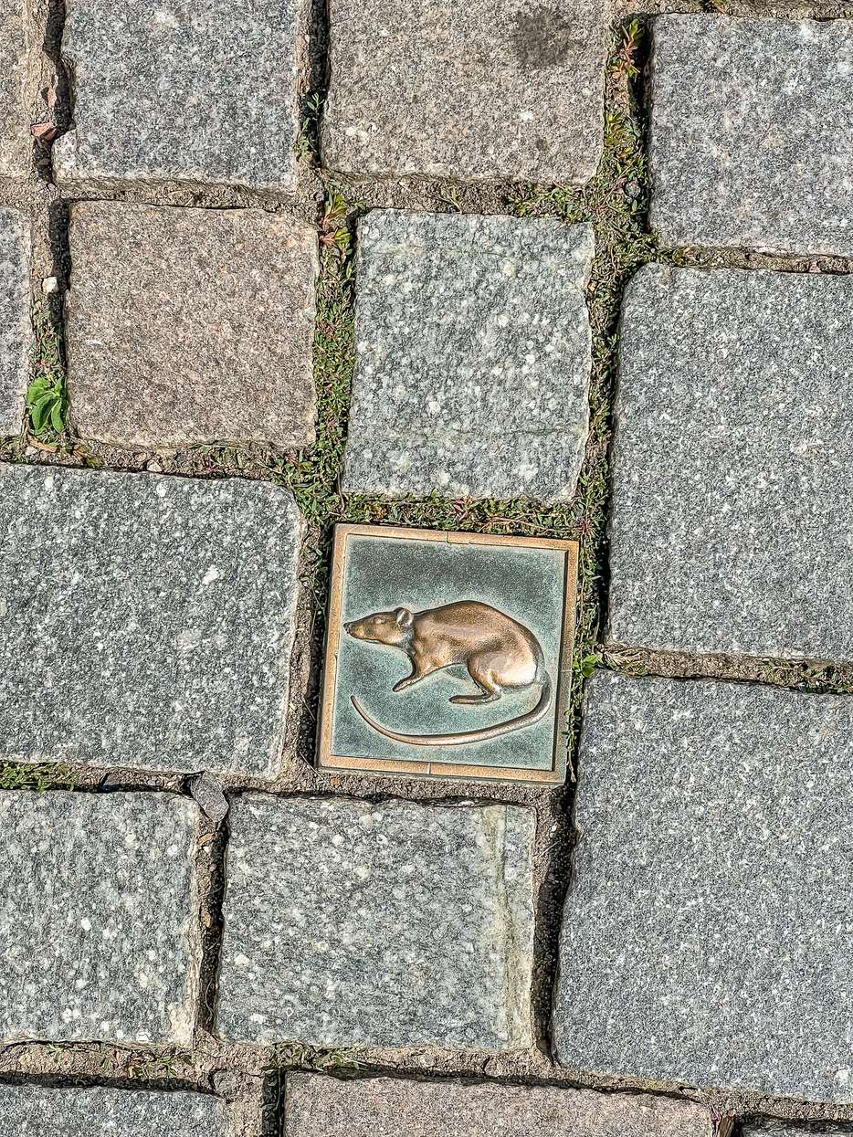 Ratten in Hamelen