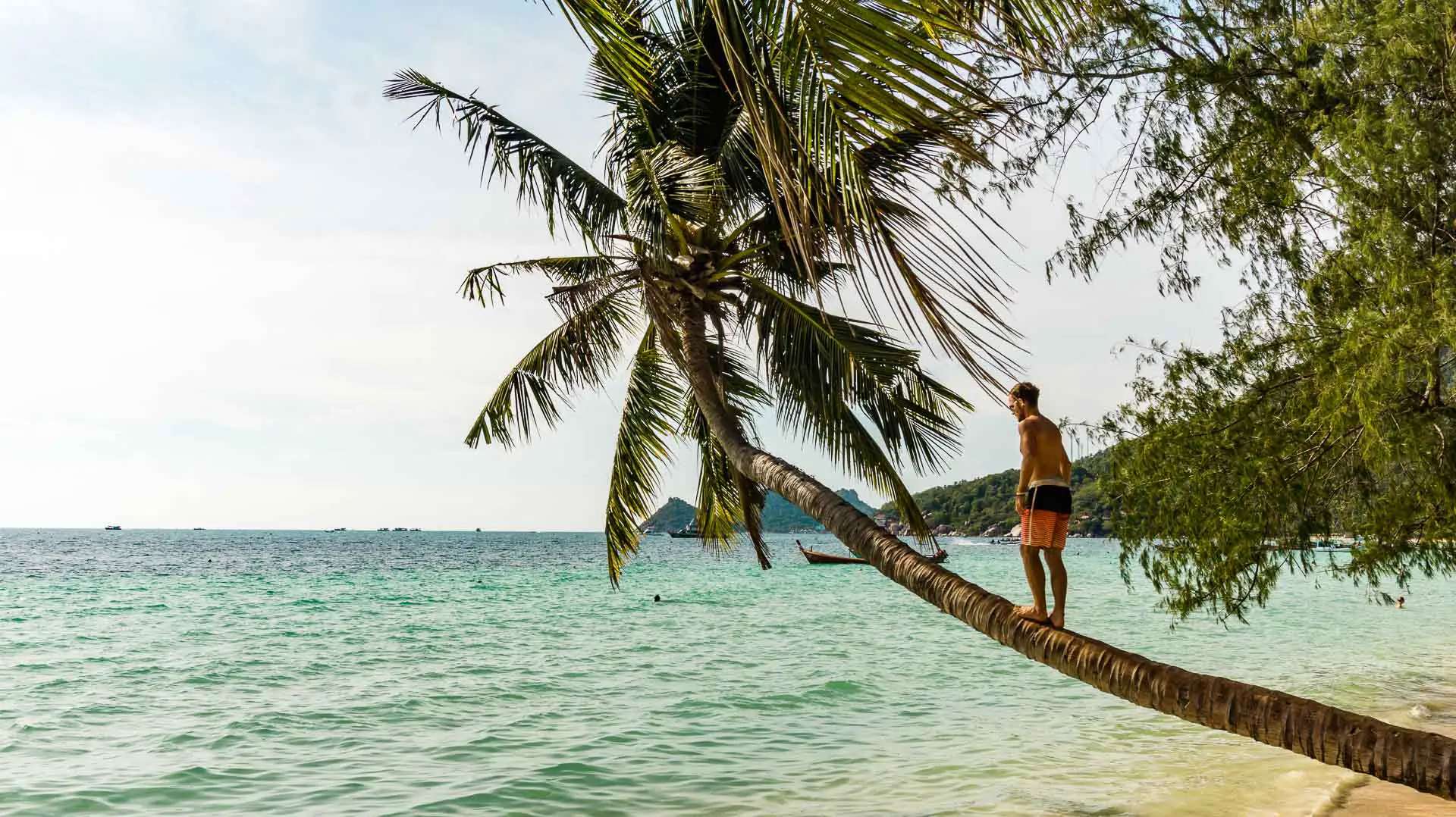 Reisroute door Zuidoost-Azié - Koh Tao in Thailand