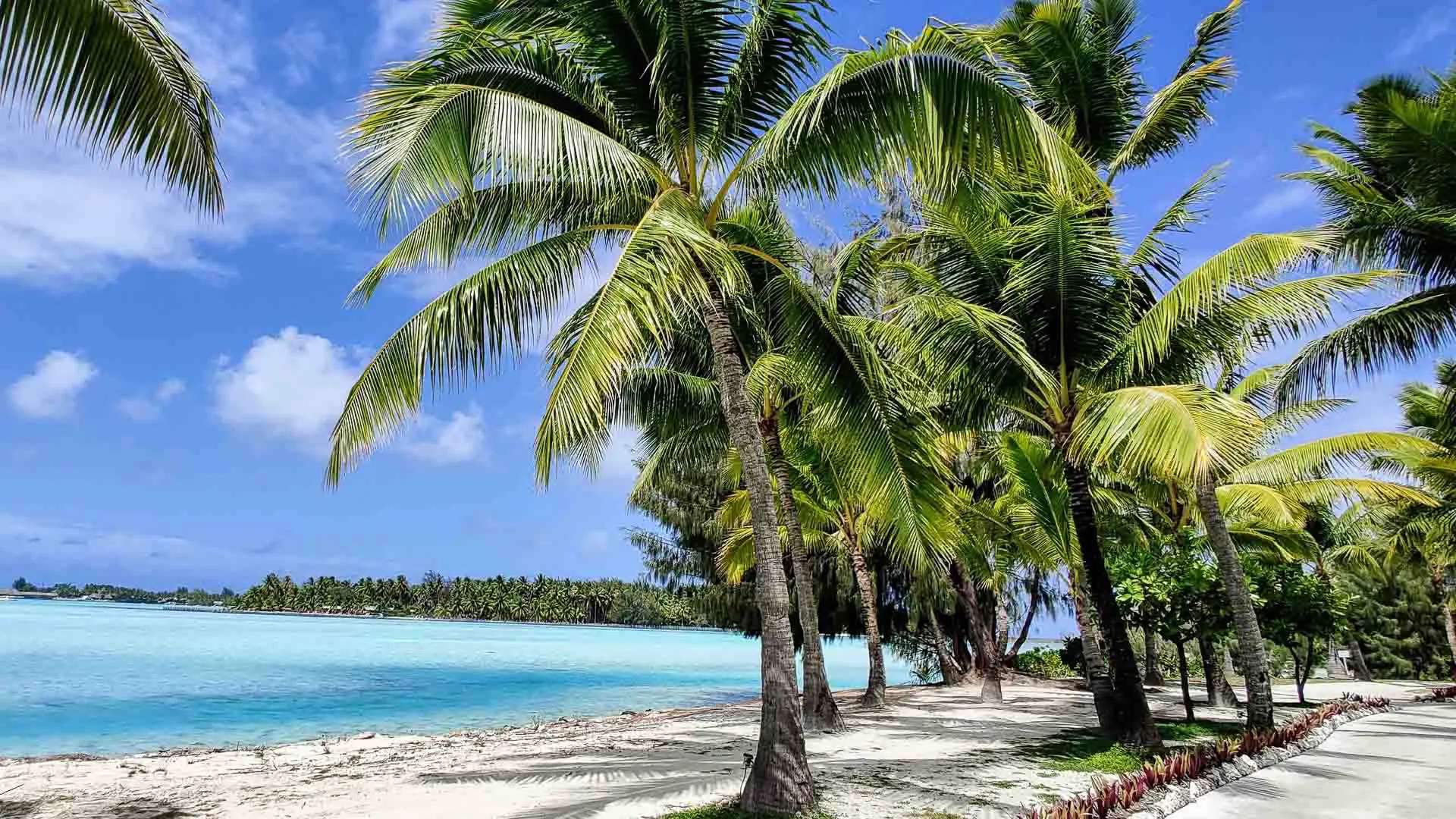 Bora Bora