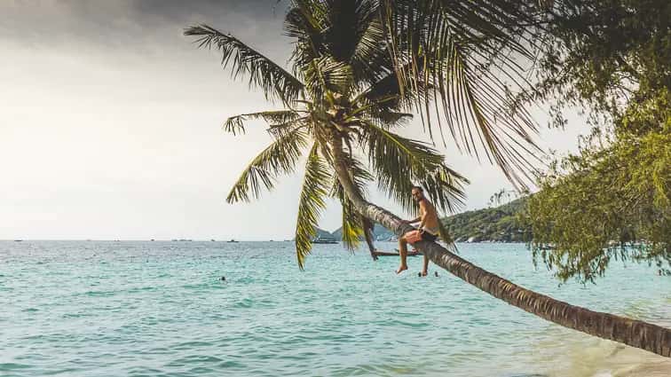 Erick op een palmboom op Koh Tao, Thailand