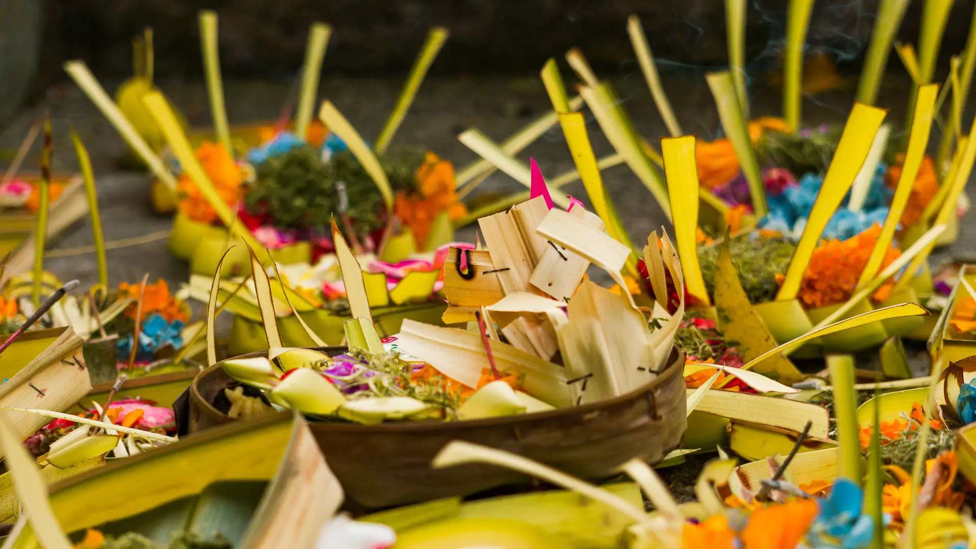 Ubud tips, wat te doen in ubud, Bali