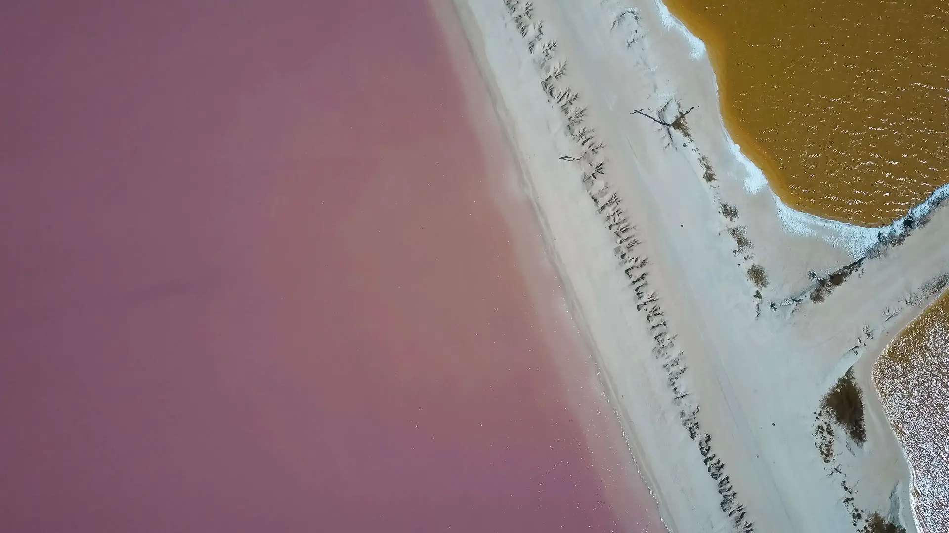 Las Coloradas. De roze meren van Las Coloradas