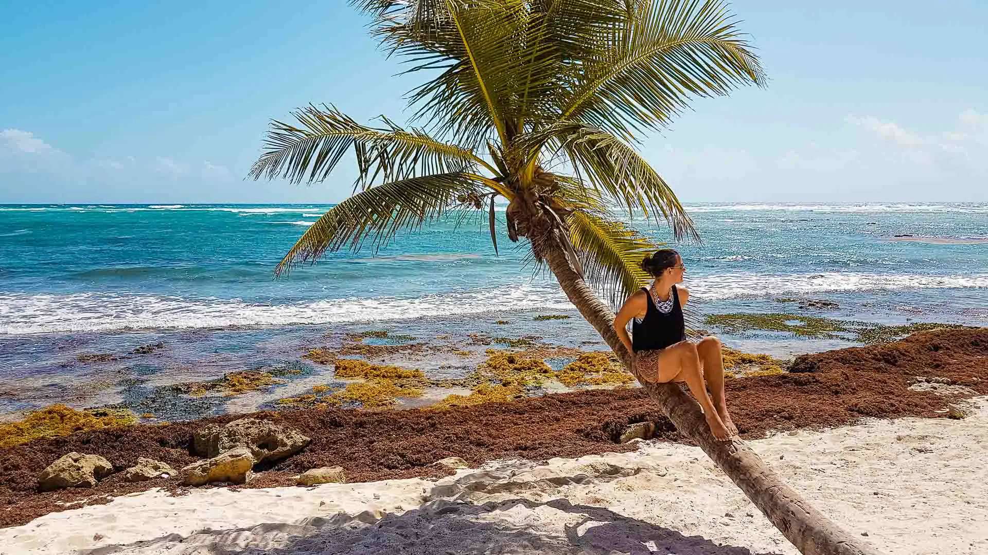 Zonvakantie in februari