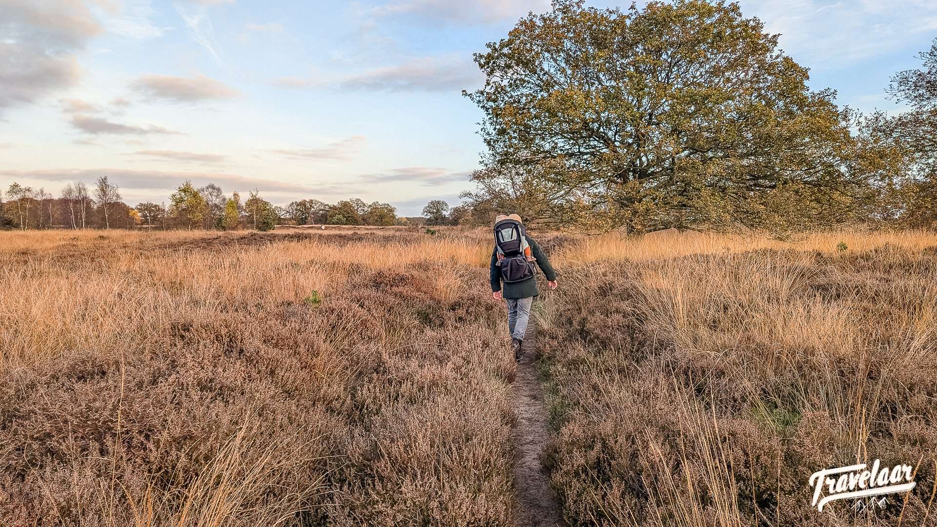 Wandelen Balloerveld Drenthe