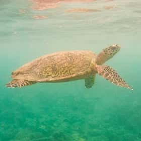 Bali & Gili Air logo