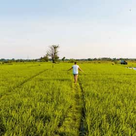 Individuele rondreizen  logo