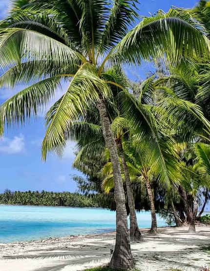 Bora Bora