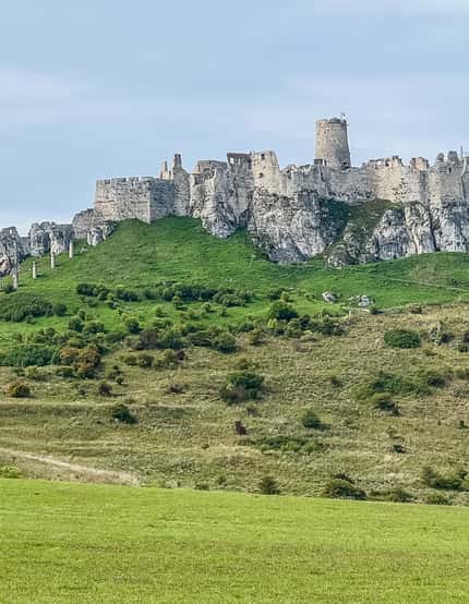 De leukste reisprogramma's