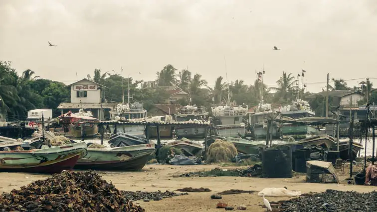 Doen in Negombo Sri Lanka - vismarkt