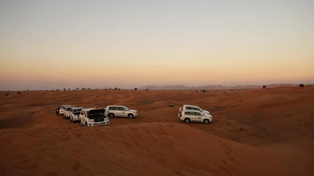 Combinatie stedentrip en natuur - Dubai woestijn