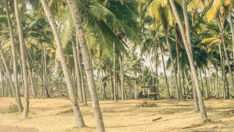 Varkala Kerala