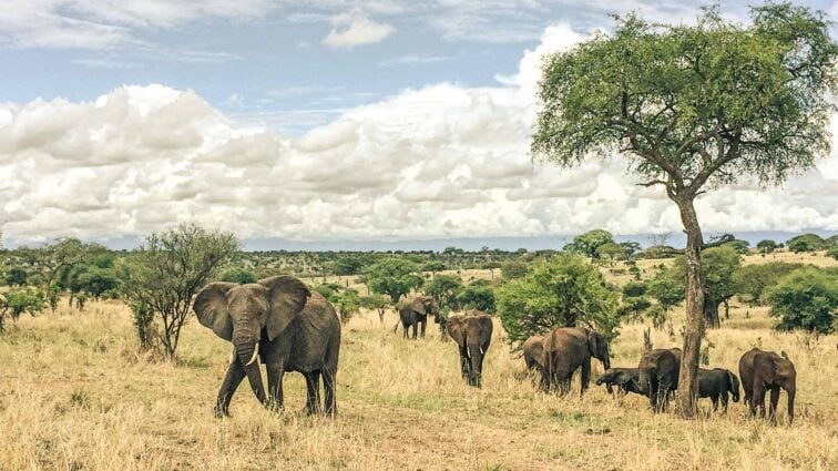 tanzania bezienswaardigheden