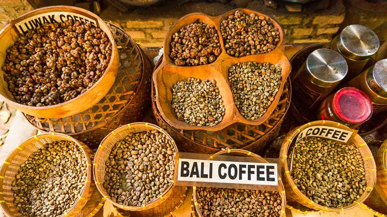 Ubud tips: Bezoek een koffieplantage op Bali en drink Luwak koffie, Kopi Luwak