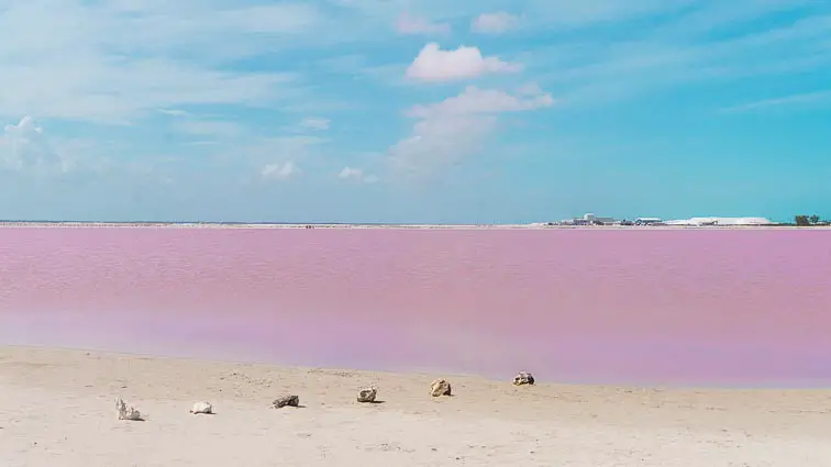Roze meer Las Coloradas Mexico