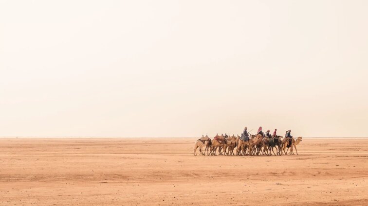 Reizen naar Jordanië woestijn
