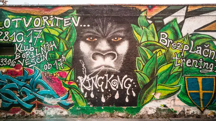 Ljubljana bezienswaardigheden: Street Art