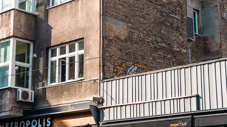 Street Art in Sarajevo: Chat