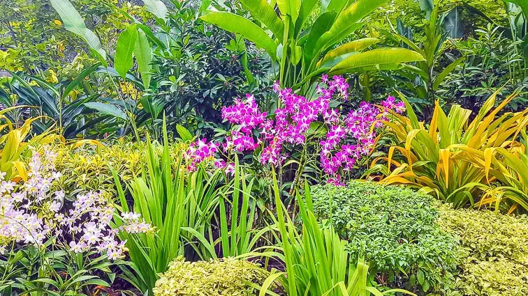 Botanical Gardens Singapore