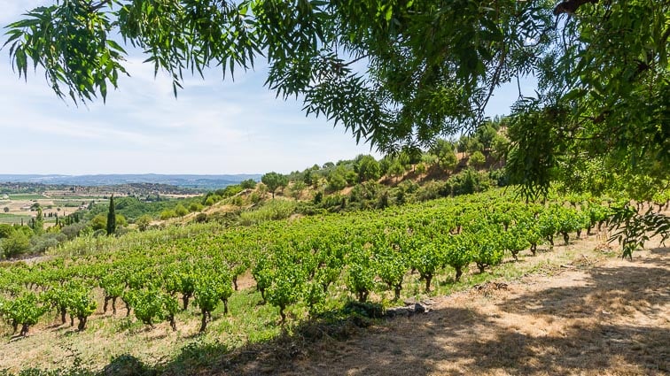 Langudoc-Roussillon Occitanië