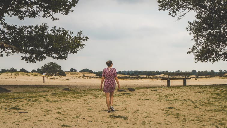 Kale Duinen, Drents Friese Wold