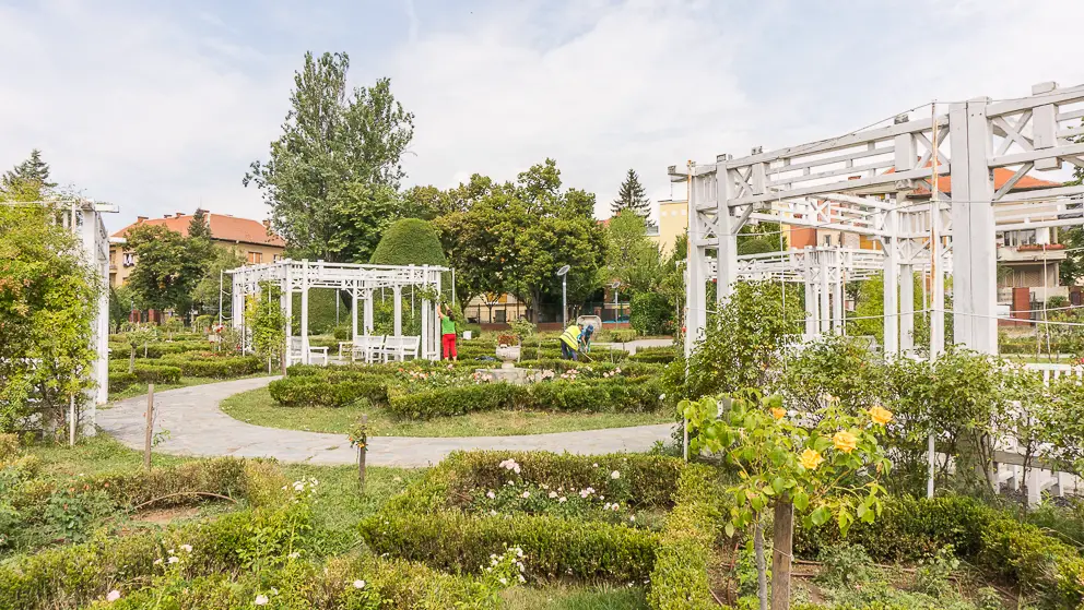 Het Rozenpark in Timisoara Roemenië