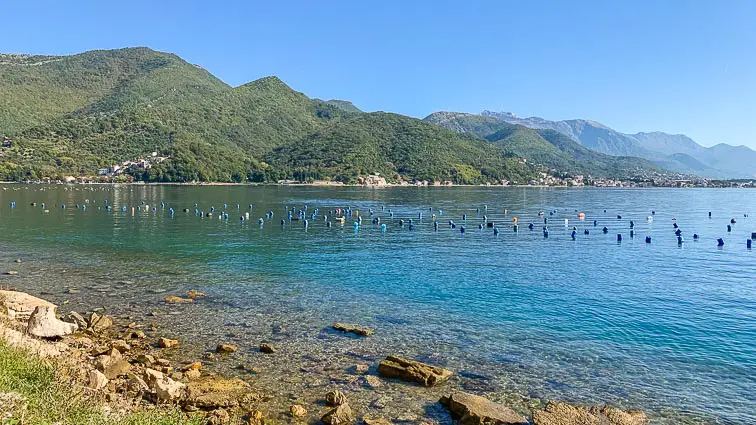 Baai van Kotor Montenegro