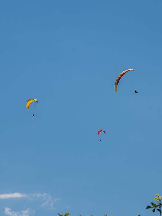 Paragliden Interlaken 